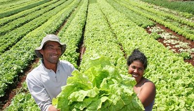 Depuración de alimentos frescos